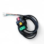Ego Rider Monitoimikytkin 60 V