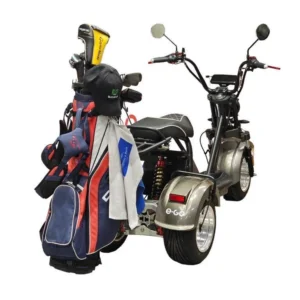 Ego Strike Sähköskootterin Golfbägiteline